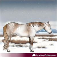 Horse Color:Gray White Spotted Liver Red Dun Tobiano 
