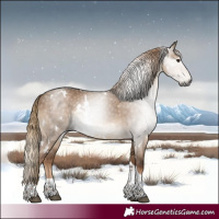Horse Color:Gray White Spotted Liver Red Dun Tobiano 