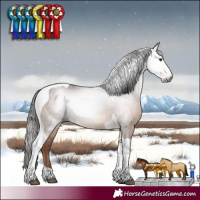 Horse Color:Gray Liver Chestnut Tobiano Rabicano 