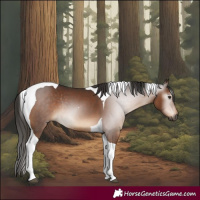Horse Color:Gray Liver Chestnut Tobiano Rabicano 