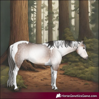 Horse Color:Gray Liver Chestnut Tobiano Rabicano
