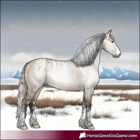 Horse Color:Powder White Gray Silver Bay Dun 