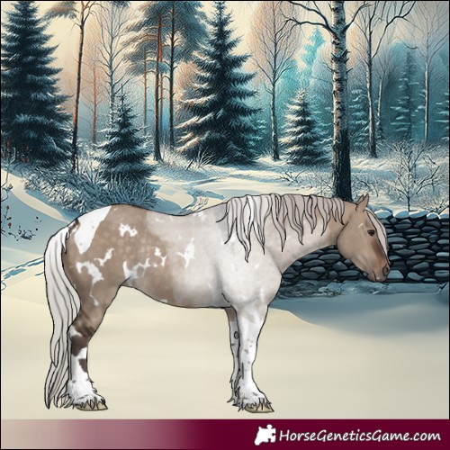 Horse Color:White Spotted Silver Brown Dun Tobiano Rabicano 