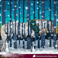 Horse Color:Silver Blue Roan 