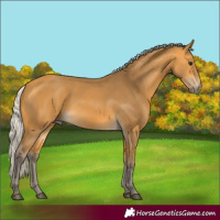 Horse Color:Silver Buckskin 