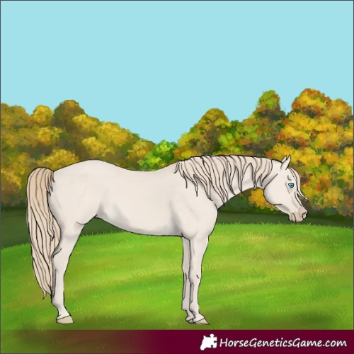 Horse Color:Smoky Creme Dun 