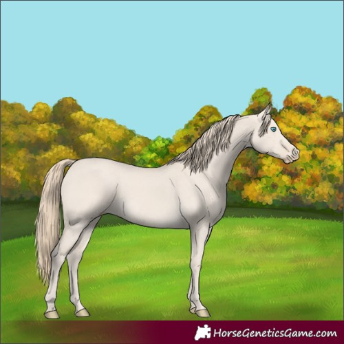 Horse Color:Smoky Creme Dun 
