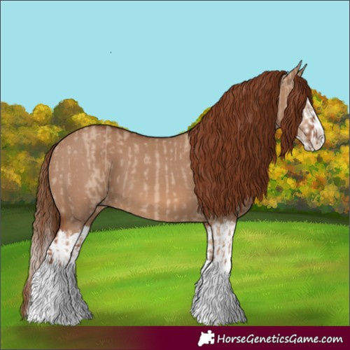 Horse Color:Red Dun Splash  and Red Dun Splash 