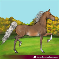 Horse Color:Silver Buckskin Tobiano 