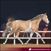 Horse Color:Gold Champagne Splash Tobiano