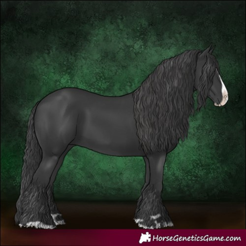 Horse Color:Black Splash