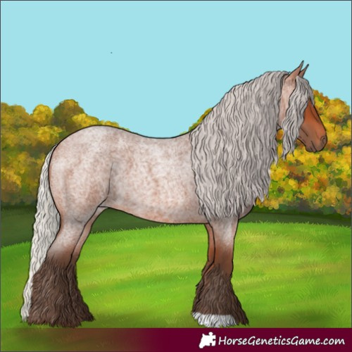Horse Color:Silver Bay Roan 