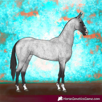 Horse Color:Smoky Blue Roan