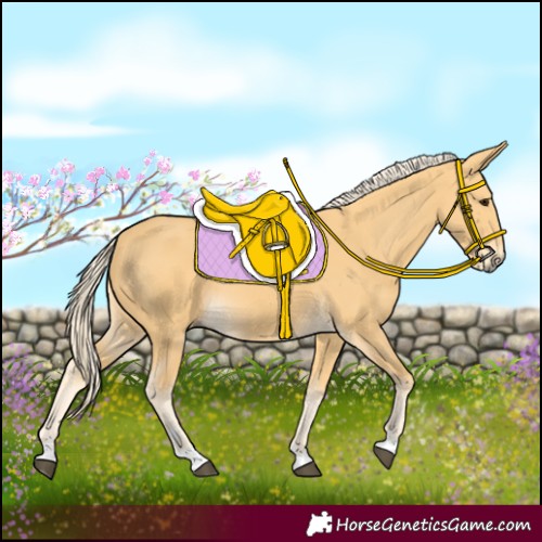 Horse Color:Palomino