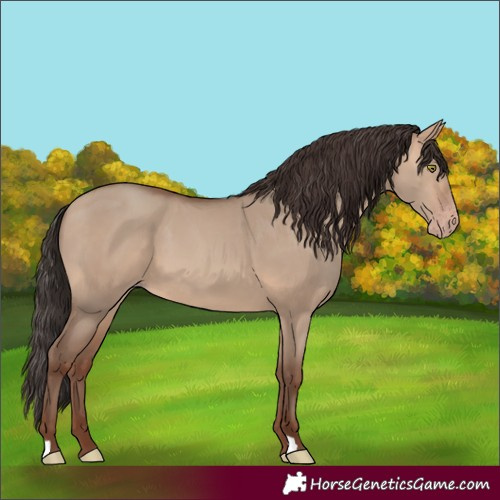 Horse Color:Sable Champagne Dun 
