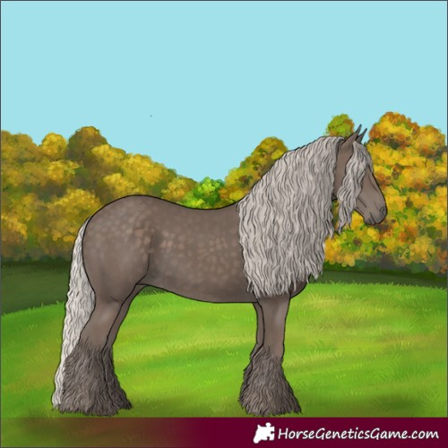 Horse Color:Silver Black 
