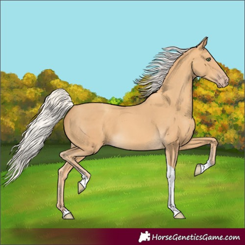 Horse Color:Silver Sable Cream Champagne Tobiano 