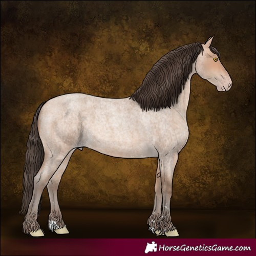Horse Color:Amber Champagne Roan