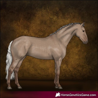 Horse Color:Silver Grullo 