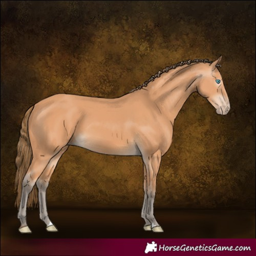 Horse Color:Gray Perlino 