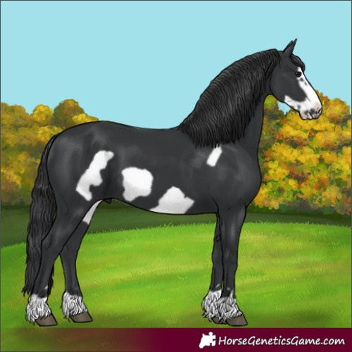Horse Color:Black Frame