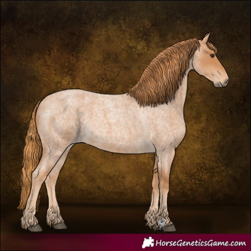 Horse Color:Red Roan 