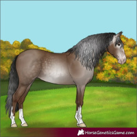 Horse Color:Gray Classic Champagne 