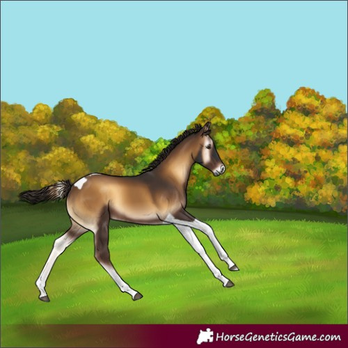 Horse Color:Gray Liver Red Onyx Tobiano 