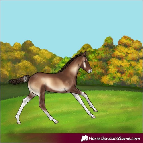 Horse Color:Red Onyx 