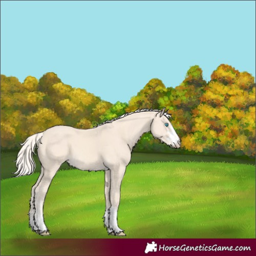 Horse Color:Cremello 