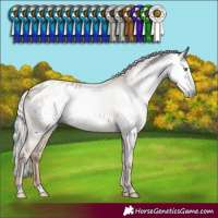 Horse Color:Gray Silver Classic Champagne Varnish Rabicano 