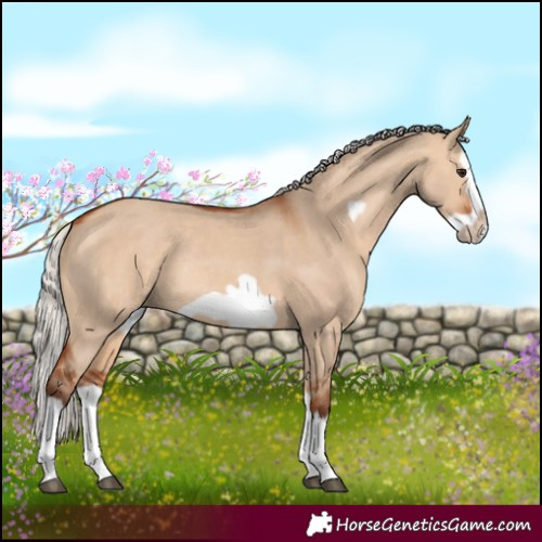 Horse Color:Silver Bay Dun Splash Frame Rabicano 