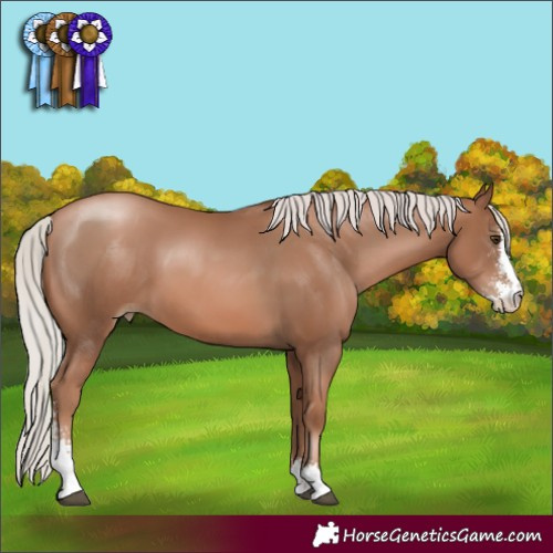 Horse Color:Silver Black Pearl Sabino 
