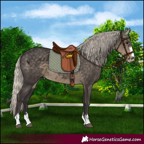 Horse Color:Silver Smoky Black 