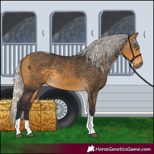 Horse Color:Silver Buckskin Tobiano 