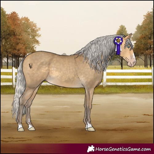 Horse Color:Silver Sable Cream Champagne 