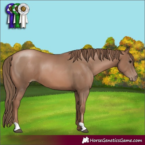 Horse Color:Black Pearl 