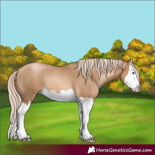 Horse Color:Chocolate Palomino Pearl Splash 