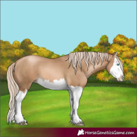 Horse Color:Chocolate Palomino Pearl Splash