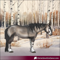 Horse Color:Blue Onyx