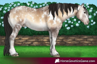 Horse Color:Gray White Spotted Sable Champagne Ice Onyx