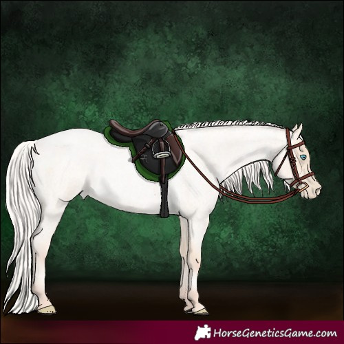 Horse Color:Silver Amber Cream Champagne Roan Pearl