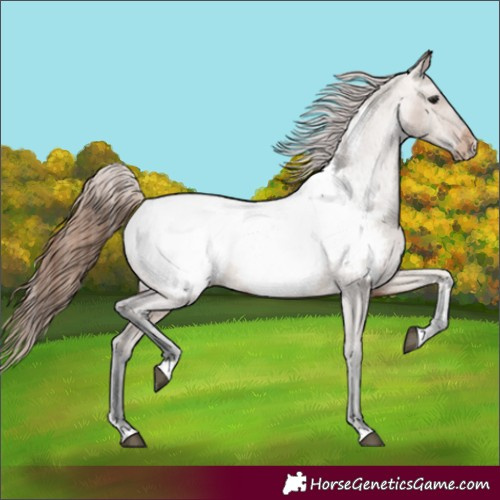Horse Color:Brown Dun Near Fewspot 