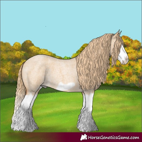 Horse Color:Red Dun Roan Splash Frame Rabicano 
