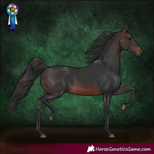 Horse Color:Brown 
