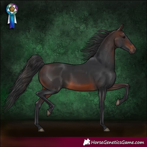 Horse Color:Brown 