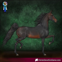 Horse Color:Brown 