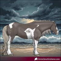Horse Color:Silver Smoky Grullo Tobiano