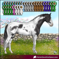 Horse Color:Smoky Black Tobiano Frame 