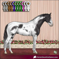Horse Color:Smoky Black Tobiano Frame 